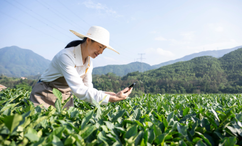 Taigene Electric Machinery Partners with National Taipei University for Tea Garden Restoration Project